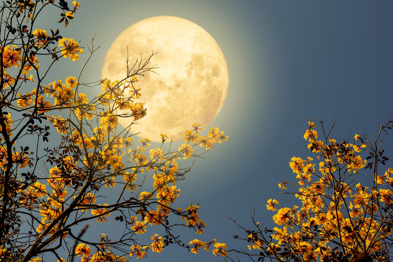 Vollmond 31.5.2026